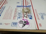Skidoo Snowmobile Shim Oem 420944586 Tundra Ii Lt Skandik Freestyle 1996-2009. Fixed Price $14.99.