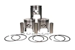 Arctic Cat Pantera 800, 1998-1999, Set 3 Pistons New. Fixed Price $154.99.