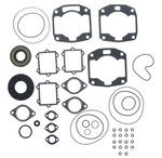 Complete Gasket Kit Arctic Thundercat Mountain 900 1993 1994 Race-driven. Fixed Price $83.26.