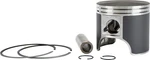 SP1 SM-09081-4 Piston T-moly Fits Ski-doo. Fixed Price $109.13.