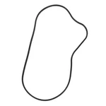 Spi Chaincase Gasket For Polaris Snowmobiles Many 2015-2025 Replaces Oem 5814028. Fixed Price $19.95.