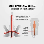 Spark Plug-standard Ngk 3035. Fixed Price $21.20.