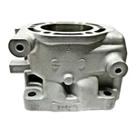 Polaris 800 Cylinder 1993-1998 Indy Storm Sks 3085325 3084644 Triple EC80PL. Fixed Price $431.99.