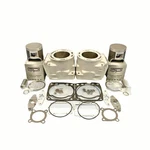 Arctic Cat Oem Cylinders Spi Pistons Gaskets 10-17 98B4 M800 F8 Replated. Fixed Price $1644.39.