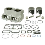 Spi Complete Engine Cylinder Rebuild Kit For Ski-doo Renegade X 800R E-tec 12-16. Fixed Price $699.97.