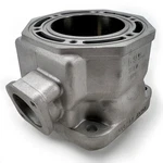 Arctic Cat, Cylinder 600 L/c, 98-00 Zr. Fixed Price $325.45.