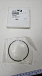 Polaris Oem Piston 3086988 Std 550FAN Classic Super Sport Trail Rmk Touring. Fixed Price $48.72.