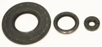 Ski-doo Summit 800, 2007-2011, Crankshaft / Oil Seal Kit. Fixed Price $49.13.