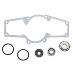 Spi Water Pump Repair Kit For Ski-doo 1000 Non V-twin Models 2005 2006 2007. Fixed Price $44.95.