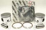 Wiseco Overbore Piston Kit SK1359. Fixed Price $436.66.