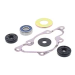 Vertex Water Pump Repair Kit 721214. Fixed Price $50.30.