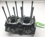 Arctic Motor Engine Crankcase Assembly Panther Jag Bearcat 440 Oem 3005-912. Fixed Price $199.95.