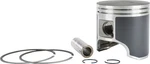 T-moly Series Piston Kit-std Bore 73.80MM For 2017 Arctic Cat Lynx 2000. Fixed Price $90.30.