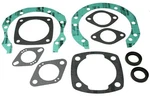 Sachs SA280, SA290C, SA293, Cc Engine, Full Gasket Set And Seals. Fixed Price $30.05.