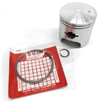 Arctic * Piston Assy W/ Rings 3003-754 1991-1993 Wildcat. Fixed Price $234.10.