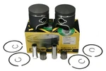 Arctic Cat Cougar 550, 1995-1998, Pro-x Pistons & Wrist Pin Bearings. Fixed Price $185.26.
