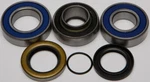 Balls Chain Case Bearing And Seal Kits 14-1043. Fixed Price $69.54.