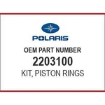 Polaris Piston Rings Kit 2203100 Oem New. Fixed Price $66.99.