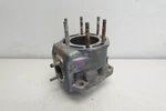 1995 Polaris Storm Sks 800 Oem Snowmobile Engine Cylinder Bore Jug Ass'y. Fixed Price $149.97.