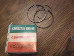 Arctic Cat Piston Rings New #3000-311. Fixed Price $29.99.