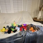 Under The Sea - Ty Beanie Babies Mixed Lot Small Plush Stuffed Animals. Fixed Price $40.00.