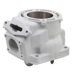 Spi Standard Bore Cylinder For Arctic Cat 600 CTEC-2 Replaces Oem# 1904-005. Fixed Price $249.95.
