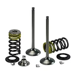 Spi-sport Part Psychic Exhaust Valve Kit XU-09535EK. Fixed Price $87.40.