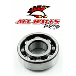 Balls Engine Bearing, Open C3 20-47-14 6204. Fixed Price $20.39.