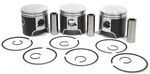 Yamaha Srx 700 Piston Kits Std 69MM Replaces 8DN-11631-00-A0 8DN-11631-10-A0. Fixed Price $128.55.