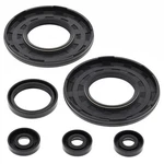 Vertex-winderosa Engine Oil Seal Kit #55181 Ski-doo. Fixed Price $24.59.