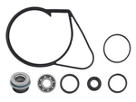 Spi 10-721313 Water Pump Repair Kit. Fixed Price $39.83.