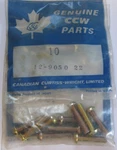 10 Pk Ccw Kec 340 400 S.e&g Engine Magneto Mounting Screws 12905022 Nos. Fixed Price $9.99.
