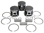 3 Piston Kit Skidoo 700 Formula Mach Standard 69.8MM 1997 1998 1999 2000. Fixed Price $1189.99.